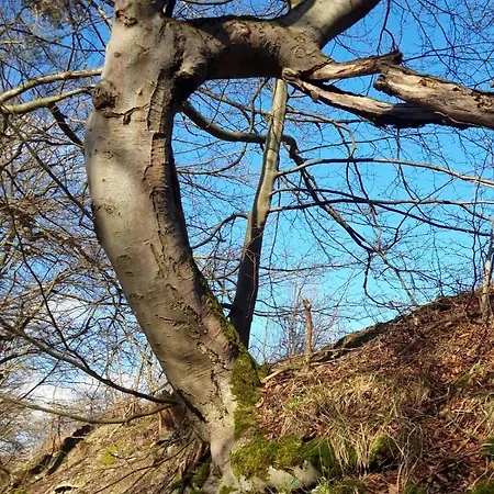 Home&classic Erlebnisscheune Апартаменты