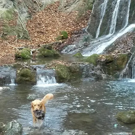 Апартаменты Home&classic Erlebnisscheune *