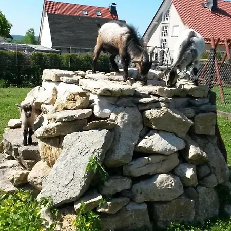 Home&classic Erlebnisscheune דירה