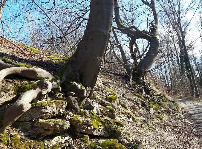 Home&classic Erlebnisscheune * Effelder (Eichsfeld)