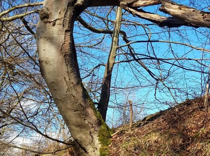 Home&classic Erlebnisscheune דירה