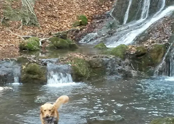 דירה Home&classic Erlebnisscheune *