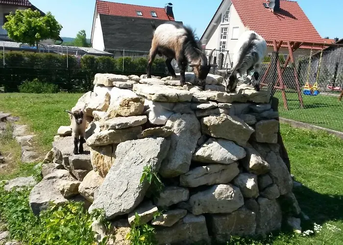 Home&classic Erlebnisscheune דירה